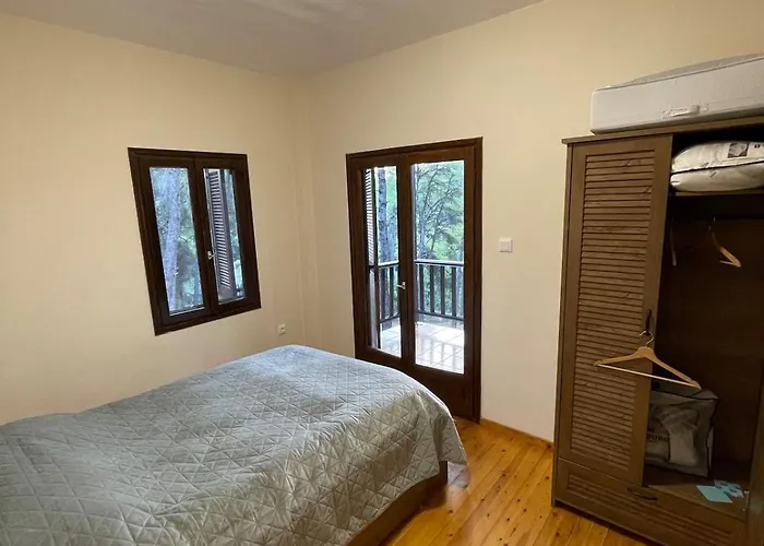 Casa vacanze Forest Heaven Sani (Chalkidiki)