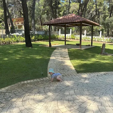 Vakantiehuis Forest Heaven